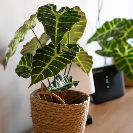 Apartment Lyan Cozy By Sh Nafplio